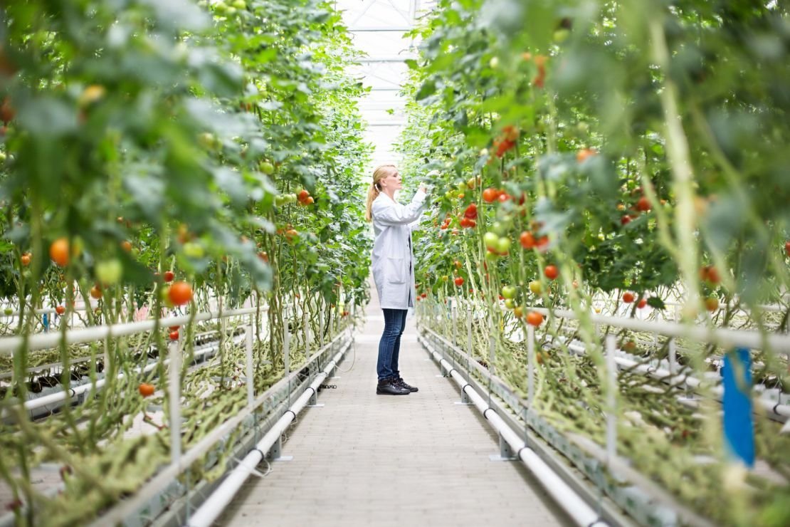 Initiative populaire sur les pesticides