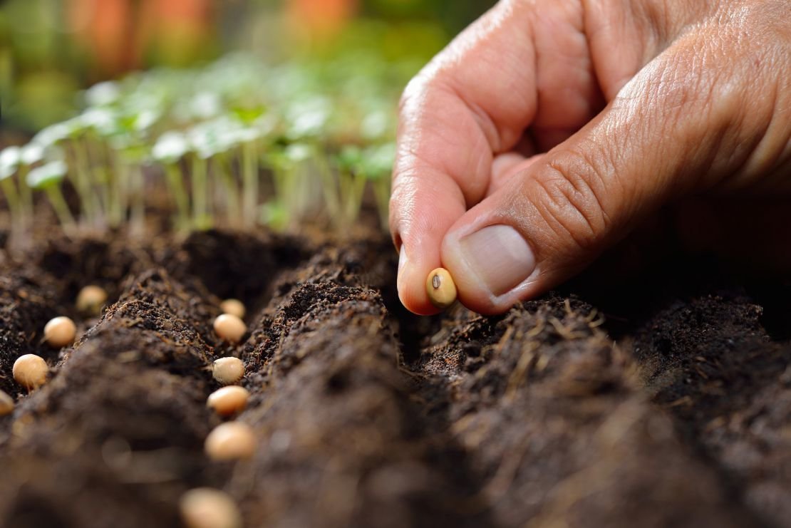 Projet Politique agricole 2022