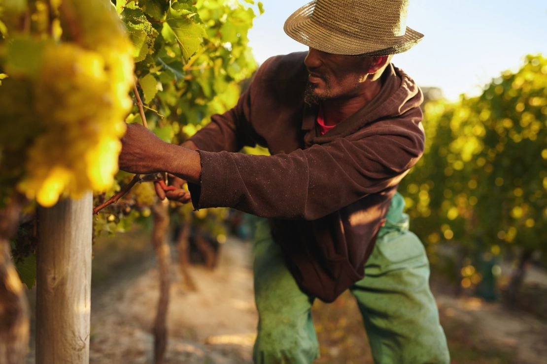 Infos de l'agrochimie suisse en lien avec la session