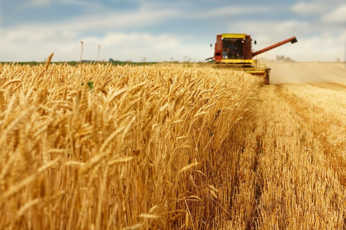 Agriculture: pourquoi le «moins» n’est pas forcément «meilleur»