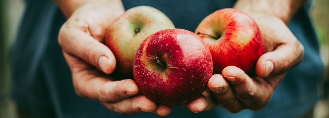 Groupe d'industrie Agrar 