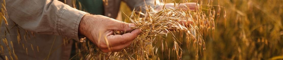 Improvement rather than a ban: 2x NO to the pesticide initiatives