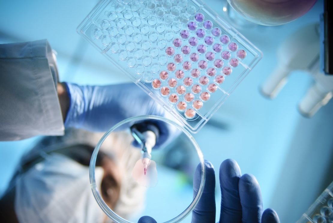 Overview and position about research on animals