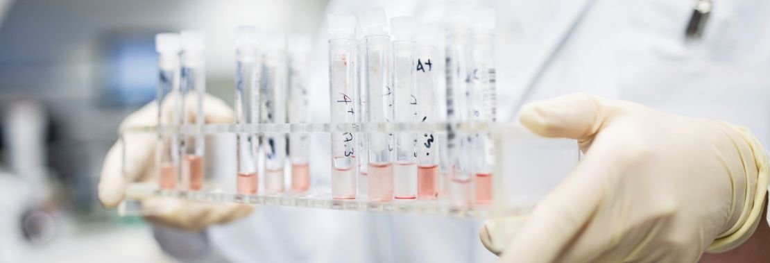 Innovative Teststrategien reduzieren Tierversuche