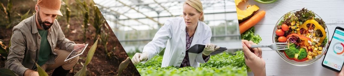 Der Beitrag der Industrie zu mehr Nachhaltigkeit im Ernährungssystem