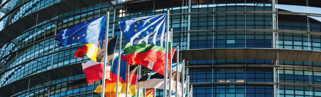 Exportverbote: Internationale Lösungen anstatt nationaler Alleingänge